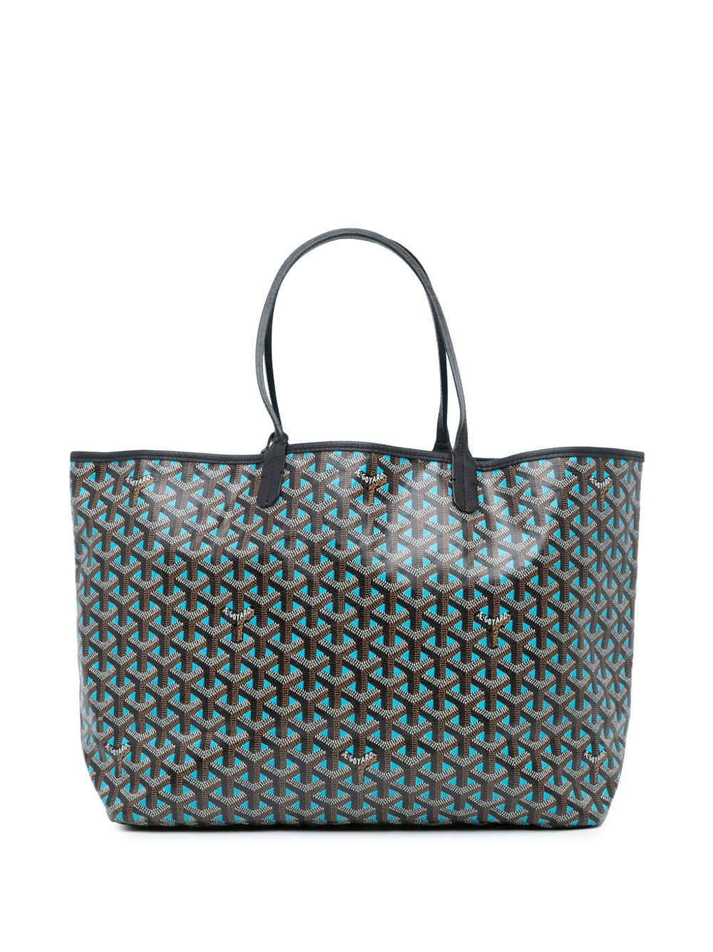 Goyard Pre-Owned Goyardine Claire Voie Saint Louis PM 手提包（2019年典藏款） - 绿色