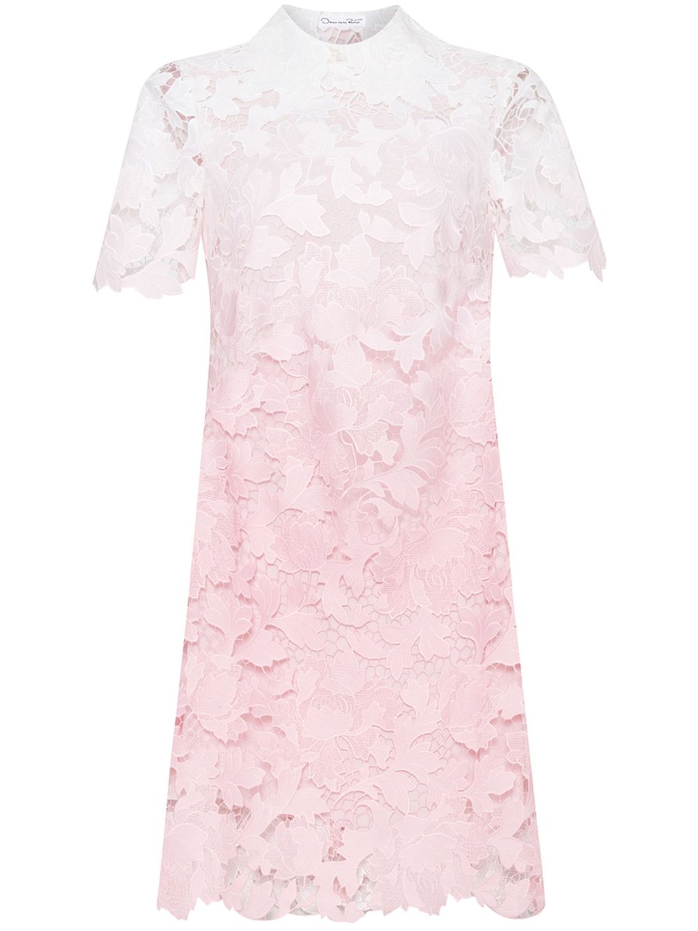 Oscar de la Renta Ombré Peony 凸花蕾丝直筒连衣裙 - 粉色