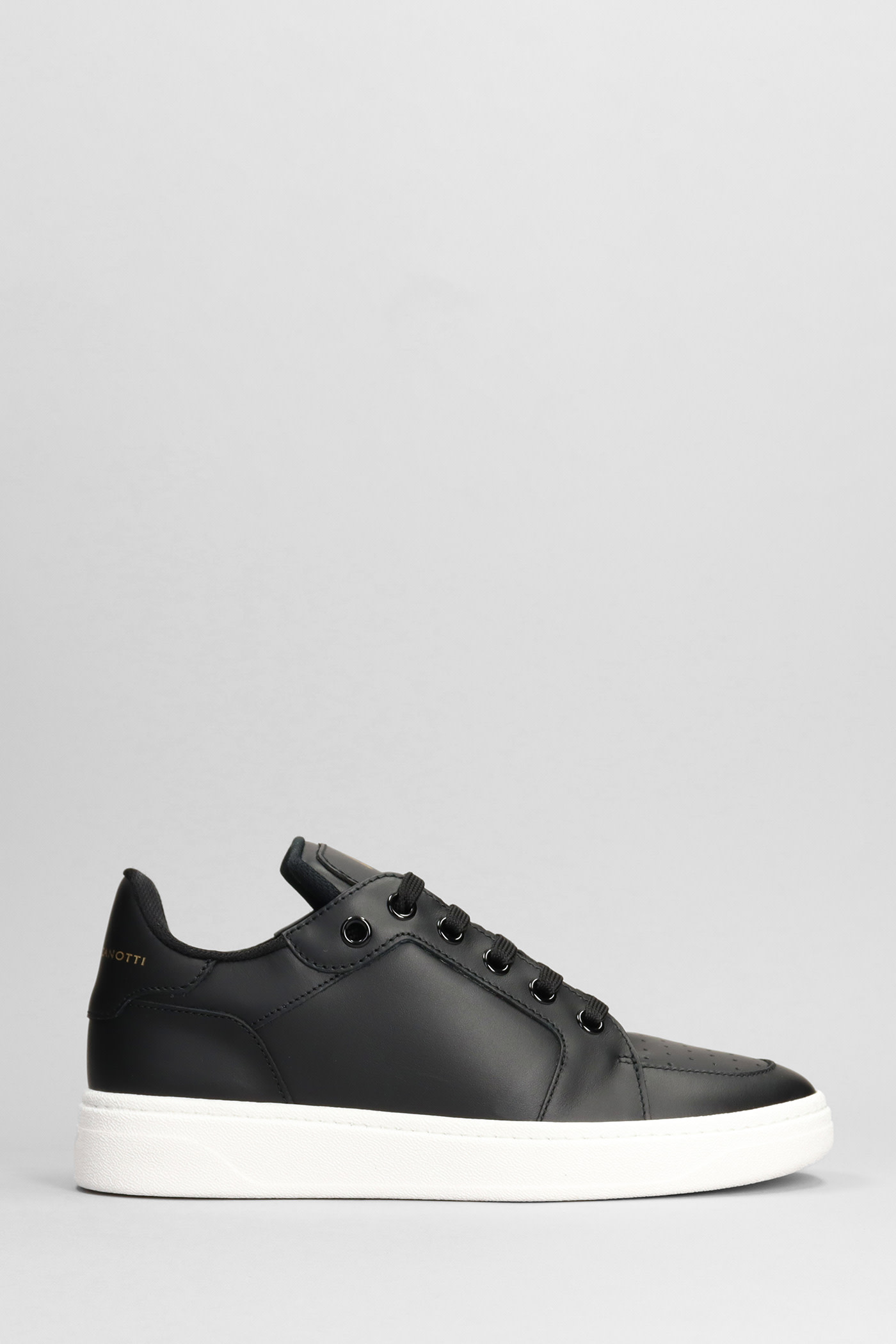 Giuseppe Zanotti 运动鞋