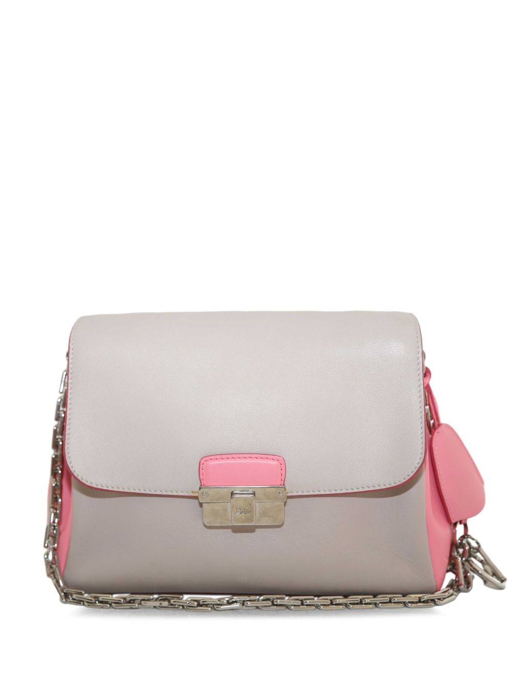 Christian Dior Pre-Owned Diorling 小号单肩包（典藏款） - 中性色