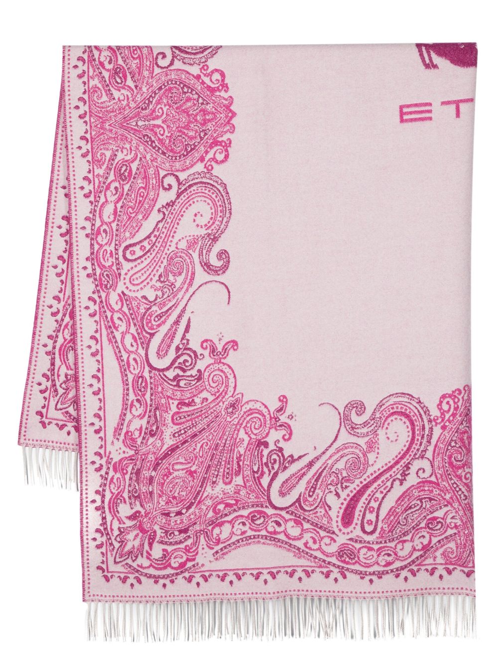 ETRO HOME 佩斯理印花羊毛毯子 - 粉色