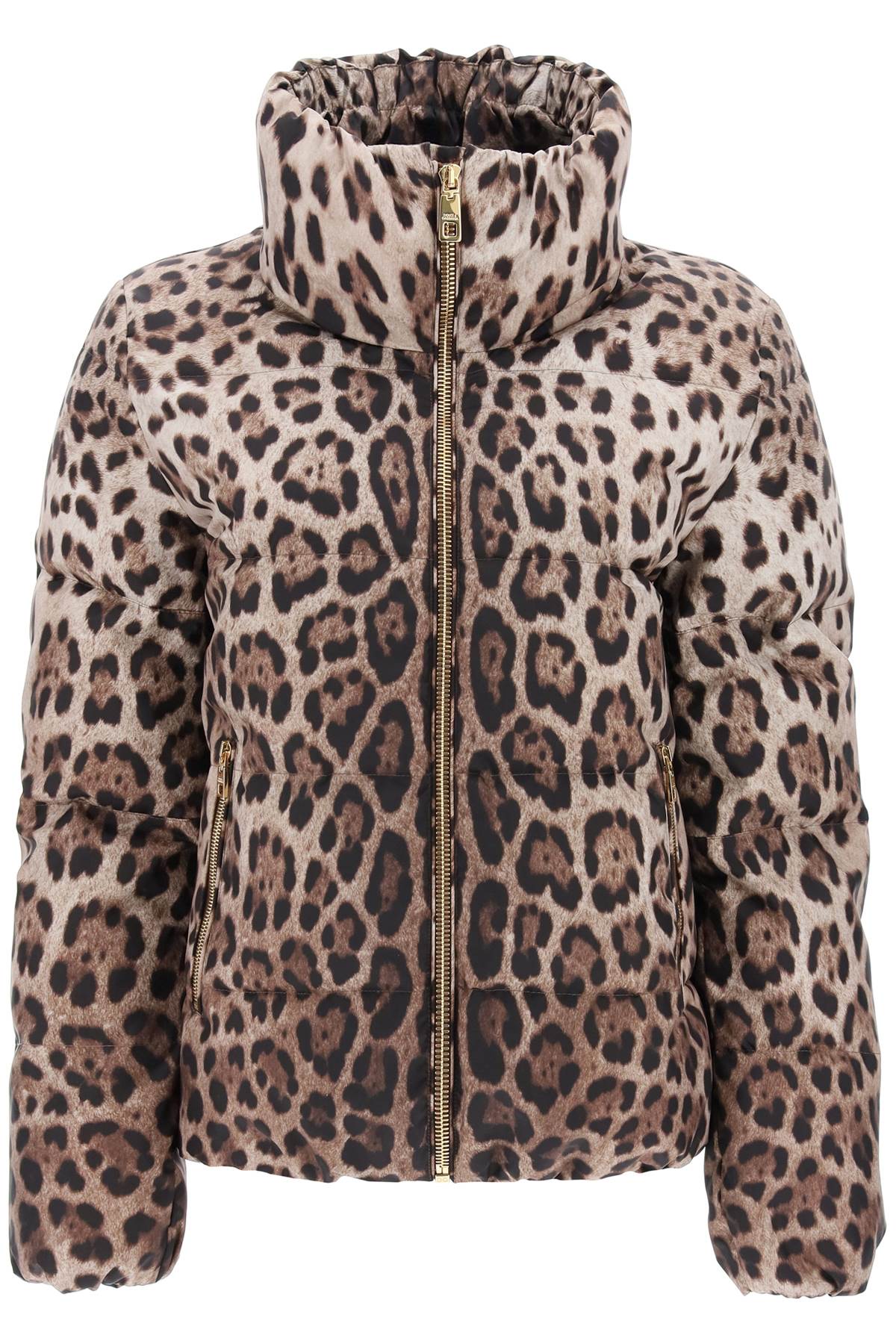Dolce & Gabbana Leopard Print Padded Jacket