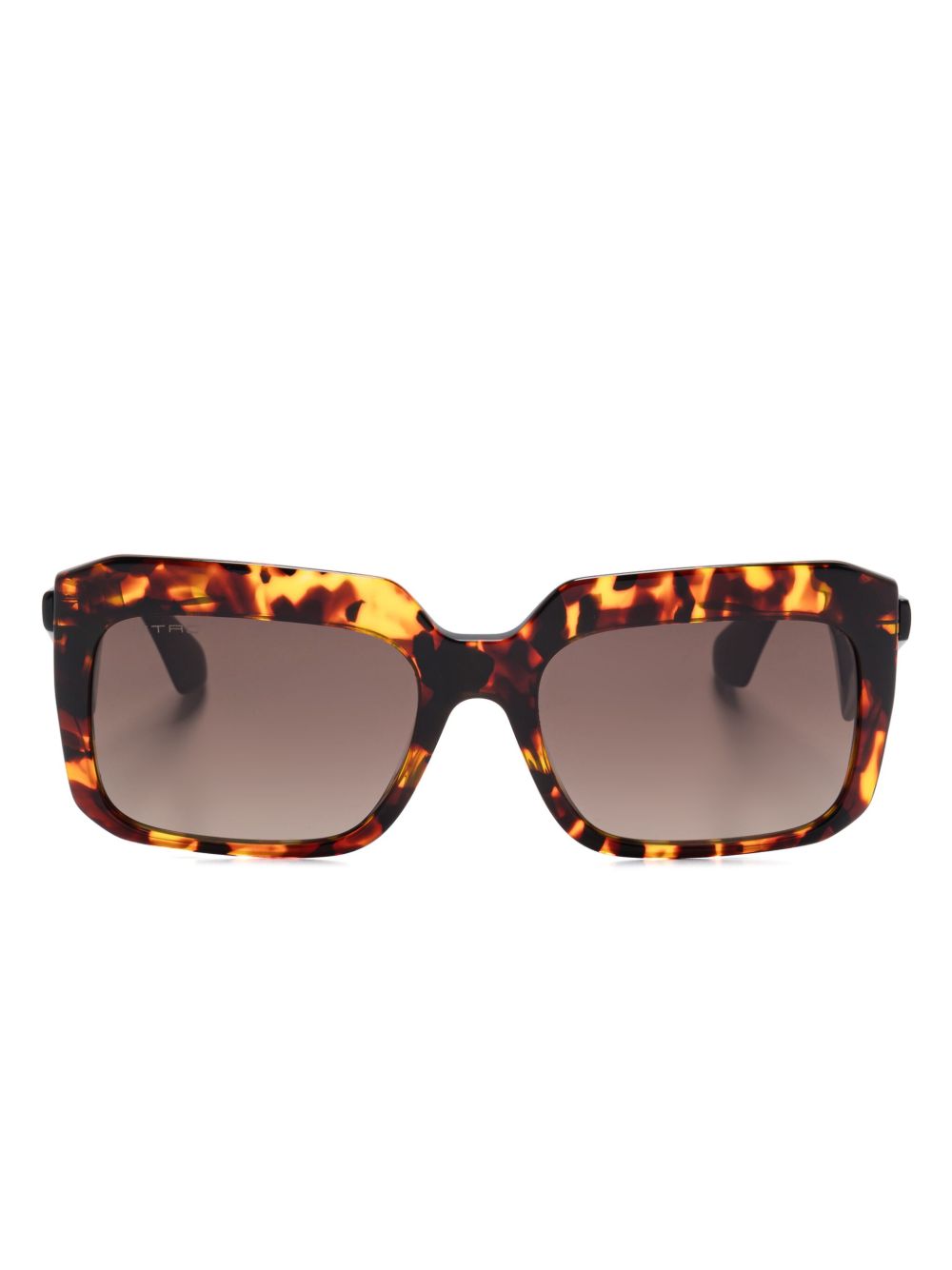 ETRO Tailoring 太阳眼镜 - 褐色