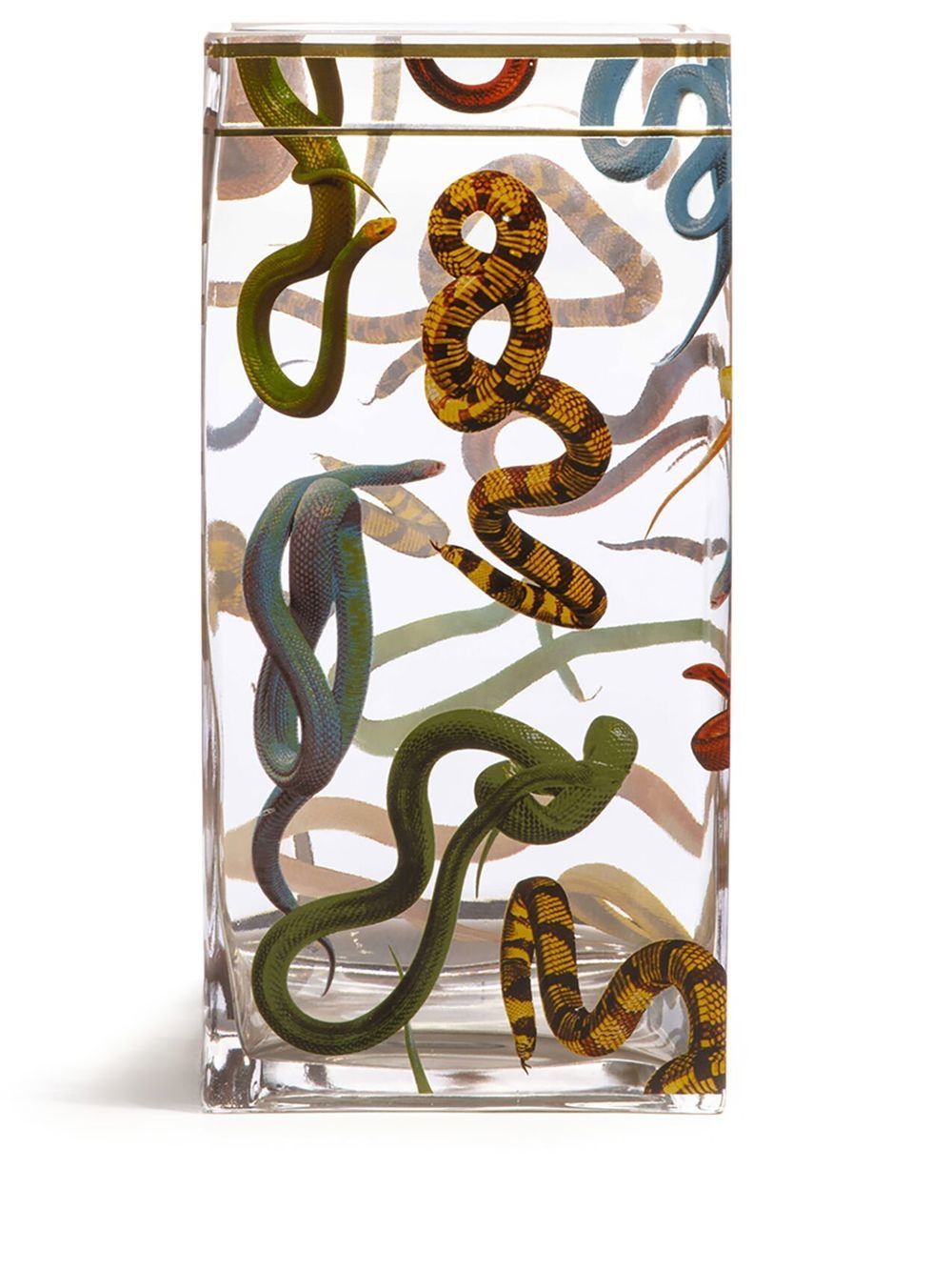 Seletti Snakes 大号玻璃瓶 - 中性色