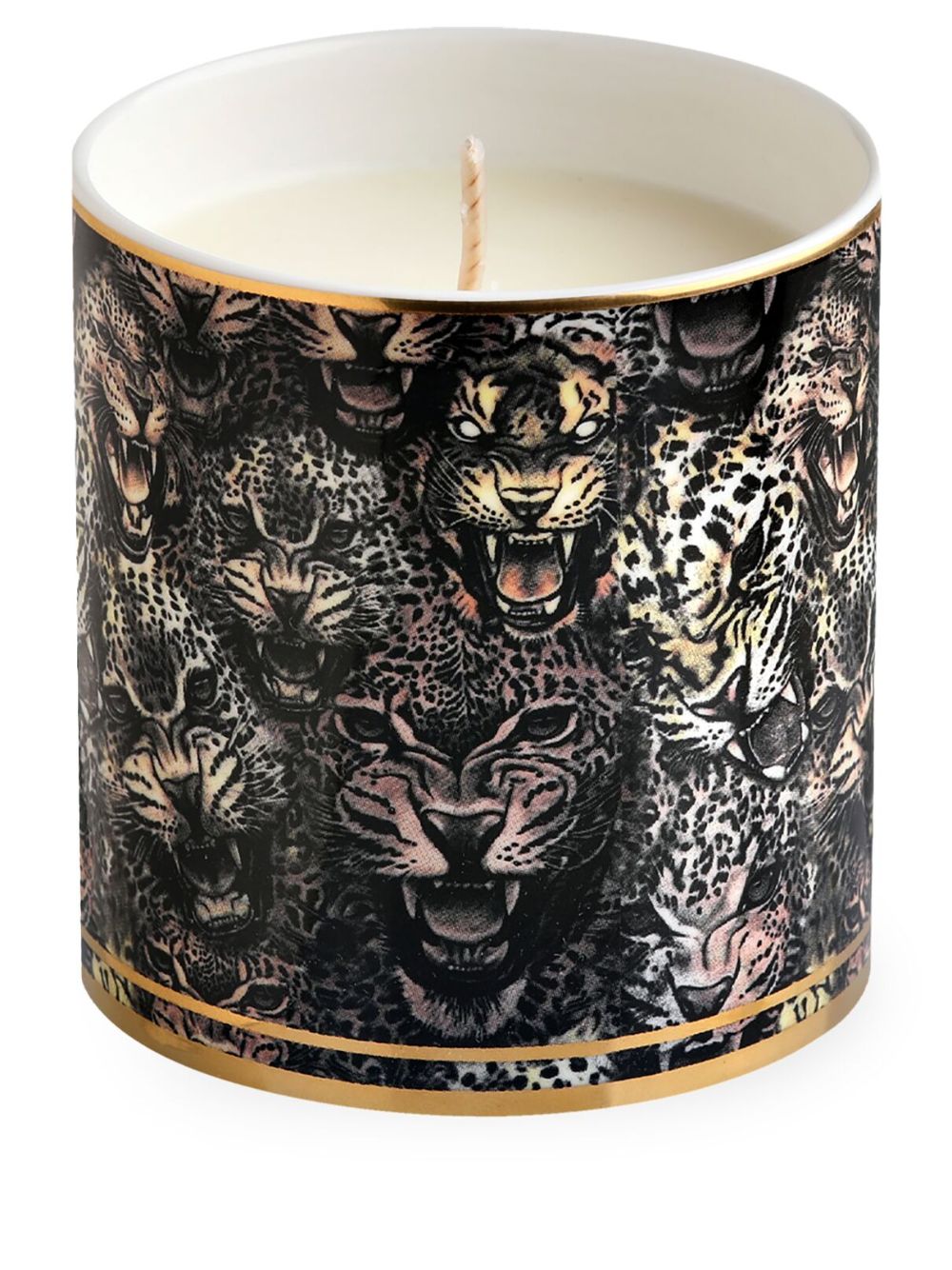 Roberto Cavalli Home Queen Of Arizona 香薰蜡烛（270 克） - 黑色
