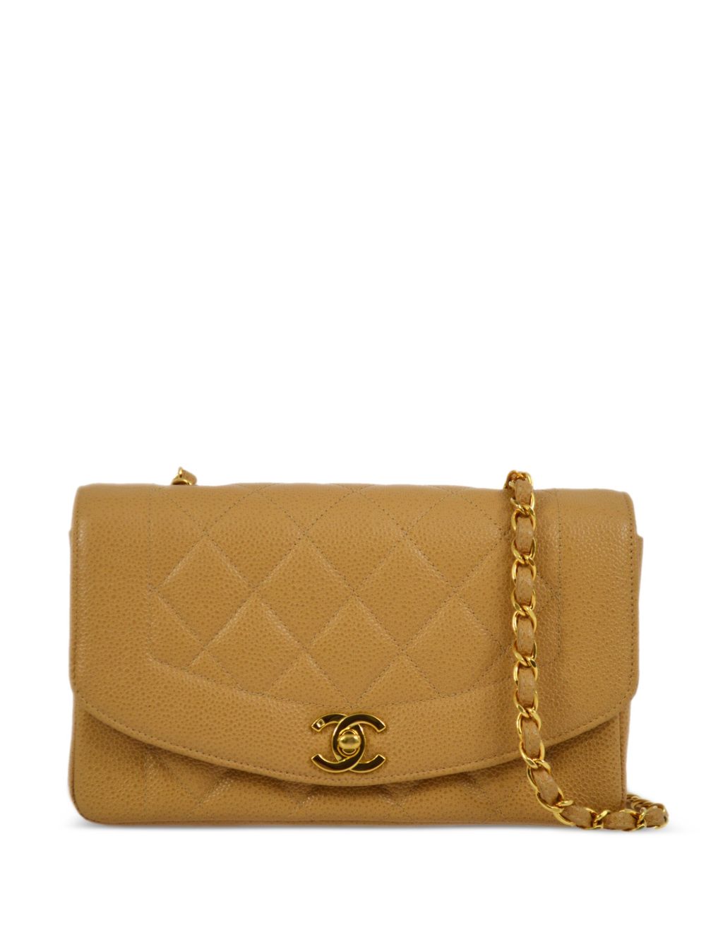 CHANEL Pre-Owned Diana 小号单肩包（1995年典藏款） - 中性色