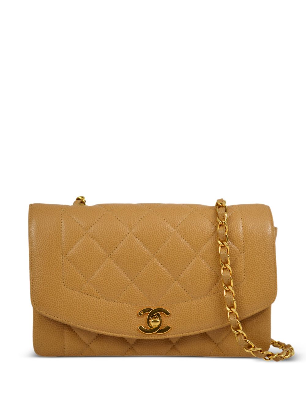 CHANEL Pre-Owned Diana 小号单肩包（1992年典藏款） - 中性色