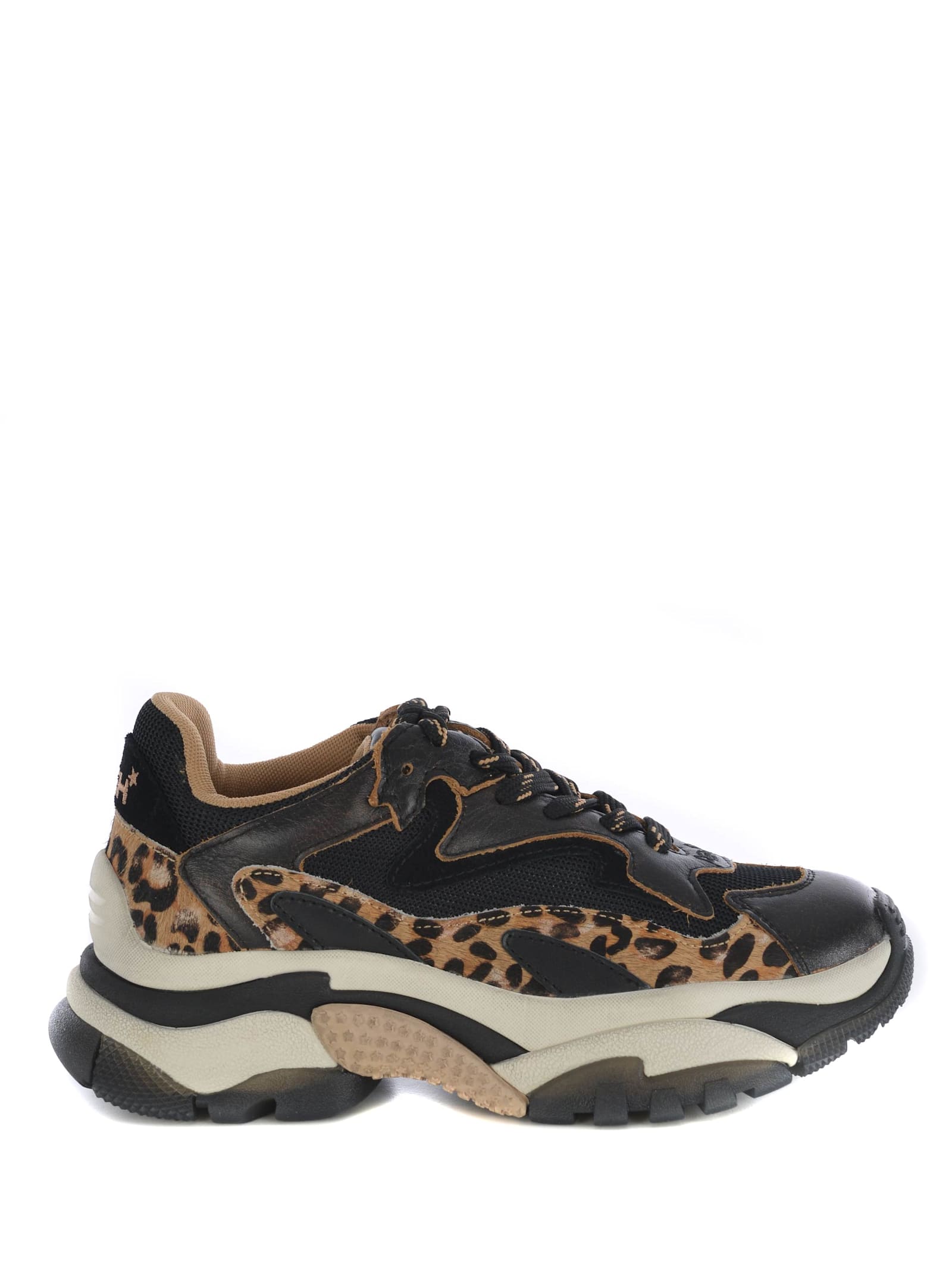 Sneakers Ash addict04 Made Of Leather