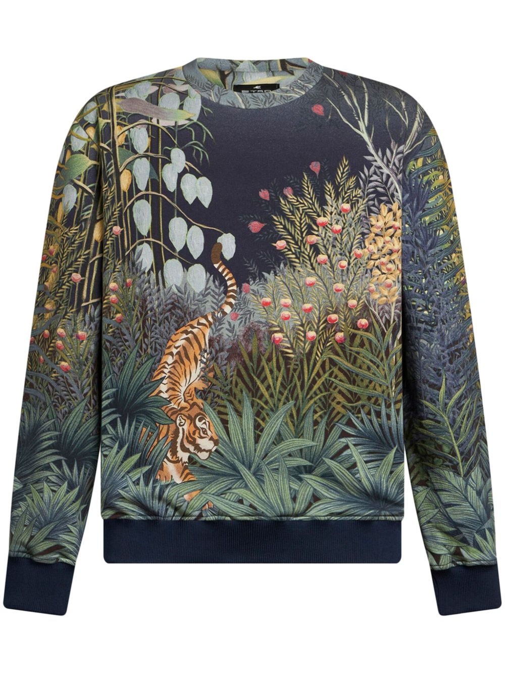 ETRO 图案印花圆领卫衣 - 蓝色