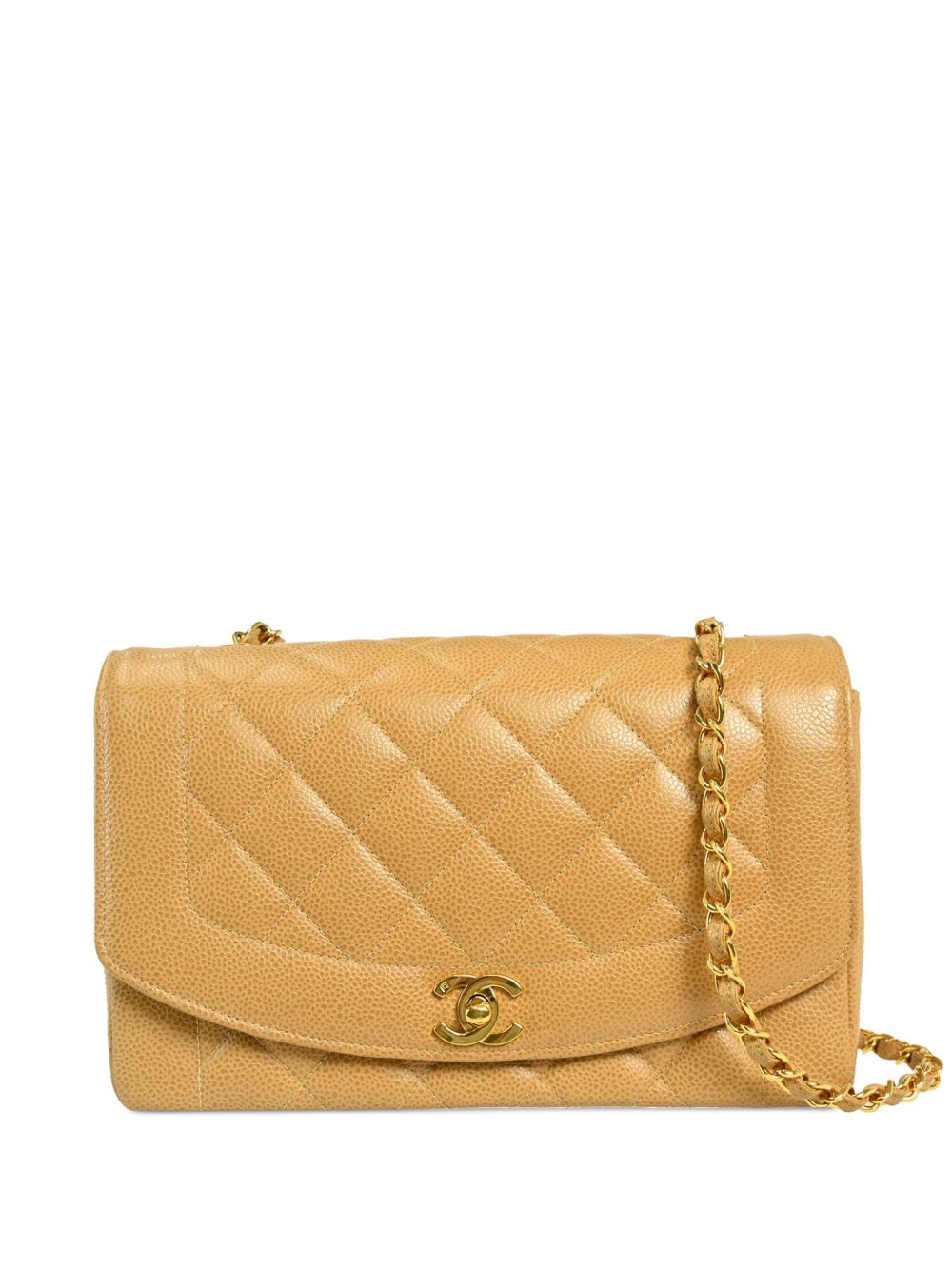 CHANEL Pre-Owned Diana 中号单肩包（1992年典藏款） - 中性色