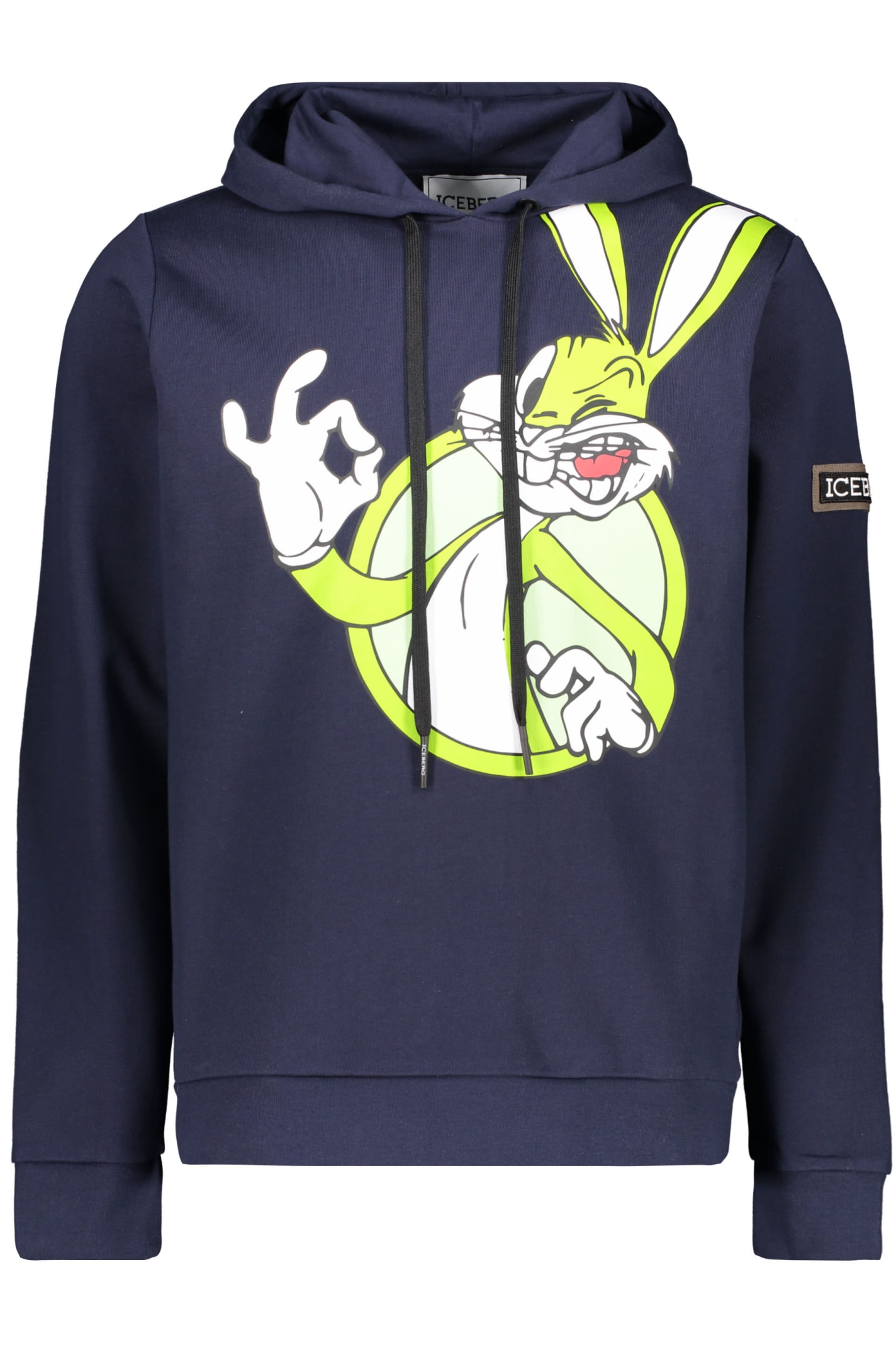 Iceberg Printed Hoodie