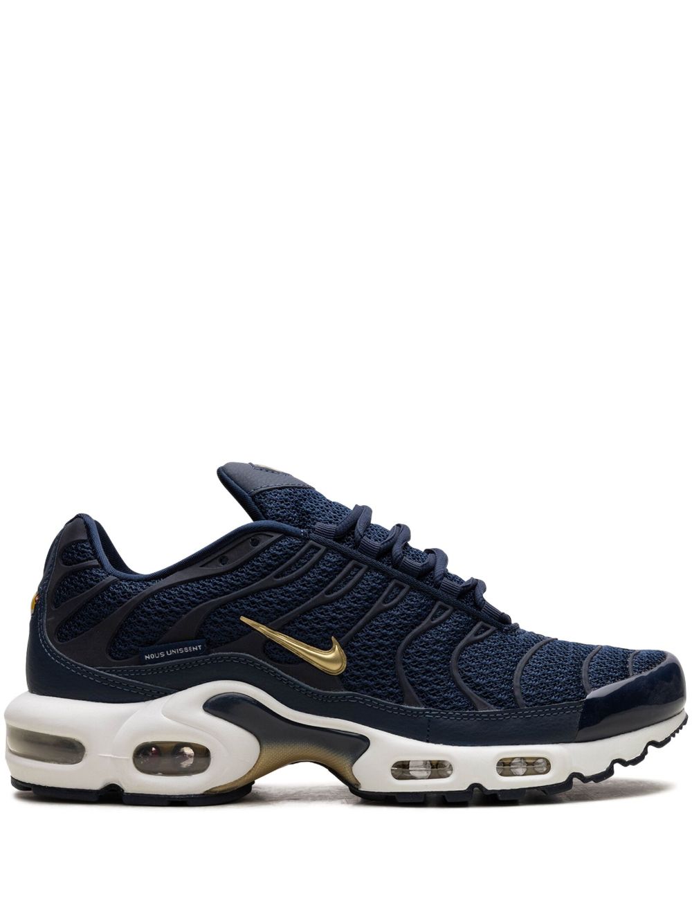 Nike Air Max Plus FFF 运动鞋 - 蓝色