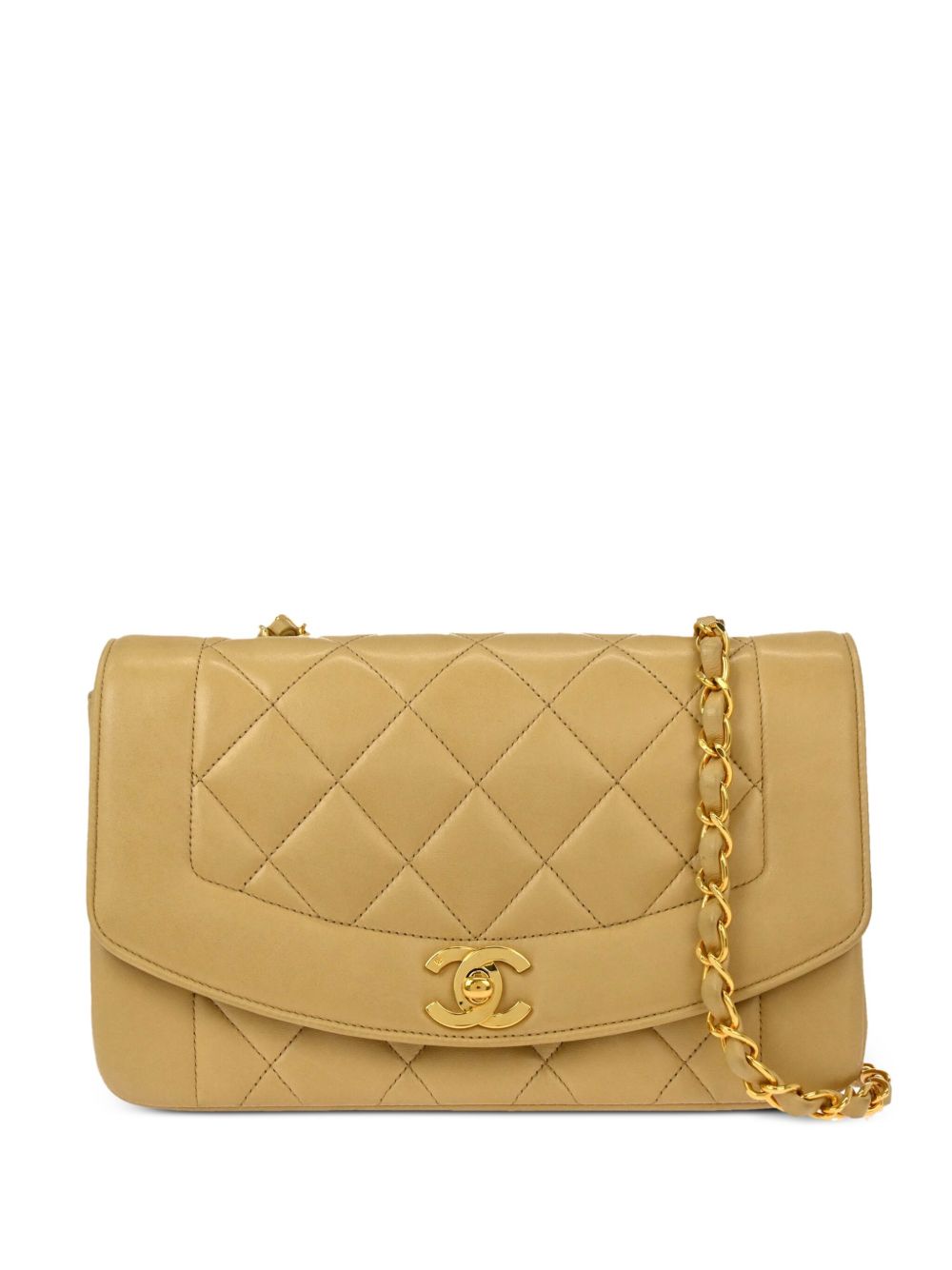 CHANEL Pre-Owned Diana 小号单肩包（1992年典藏款） - 中性色