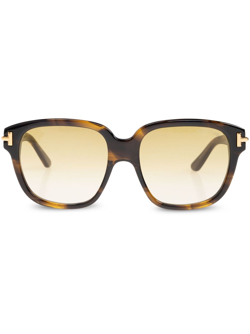 TOM FORD Eyewear Icon 太阳眼镜 - 褐色
