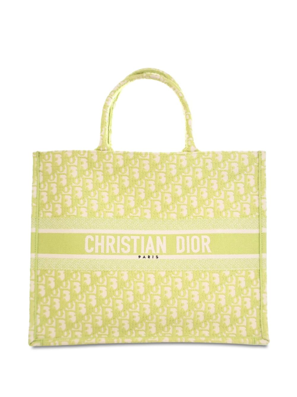 Christian Dior Pre-Owned Large Oblique Book 托特包（2021年典藏款） - 绿色