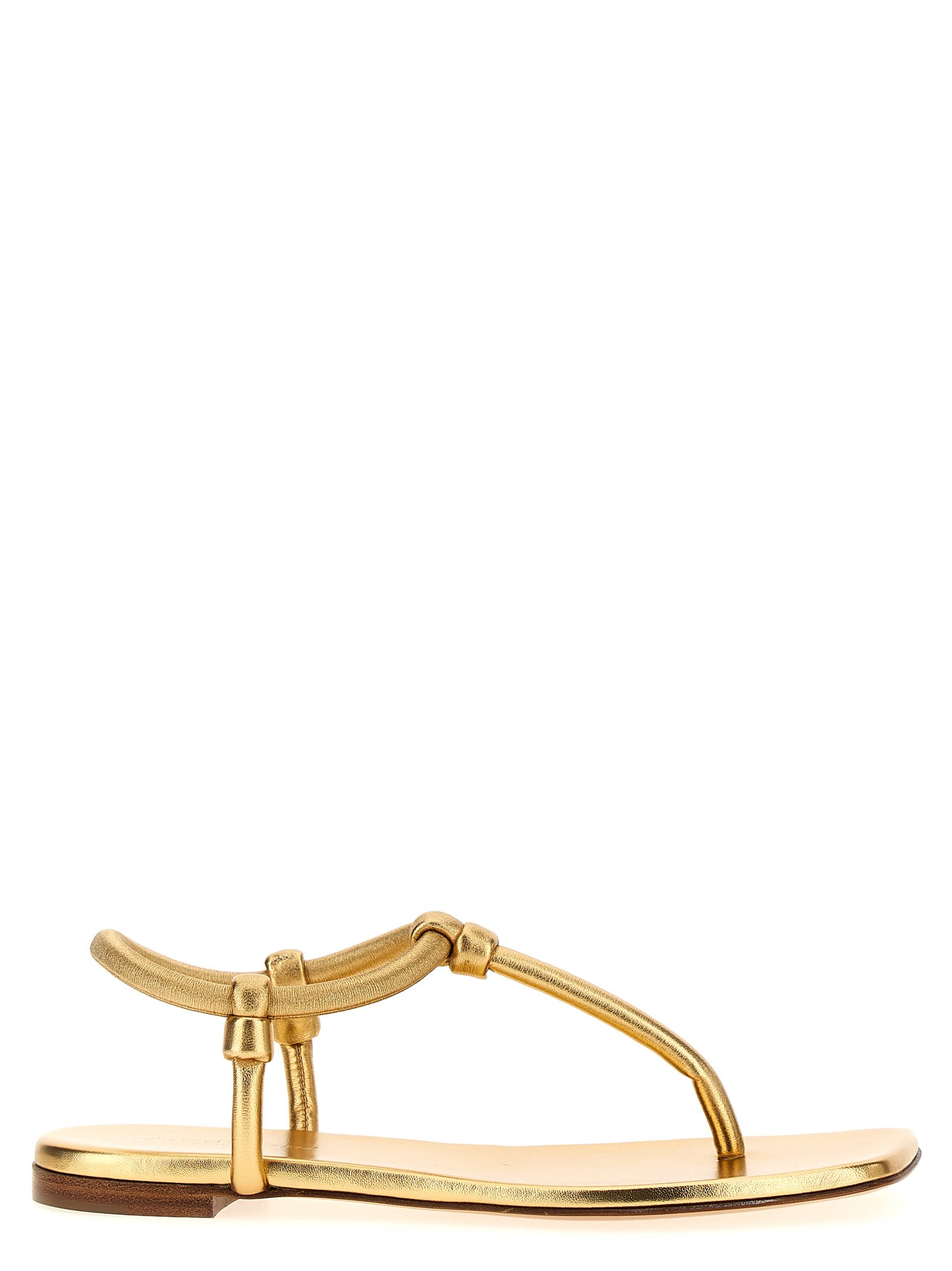 Gianvito Rossi juno 夹脚凉鞋