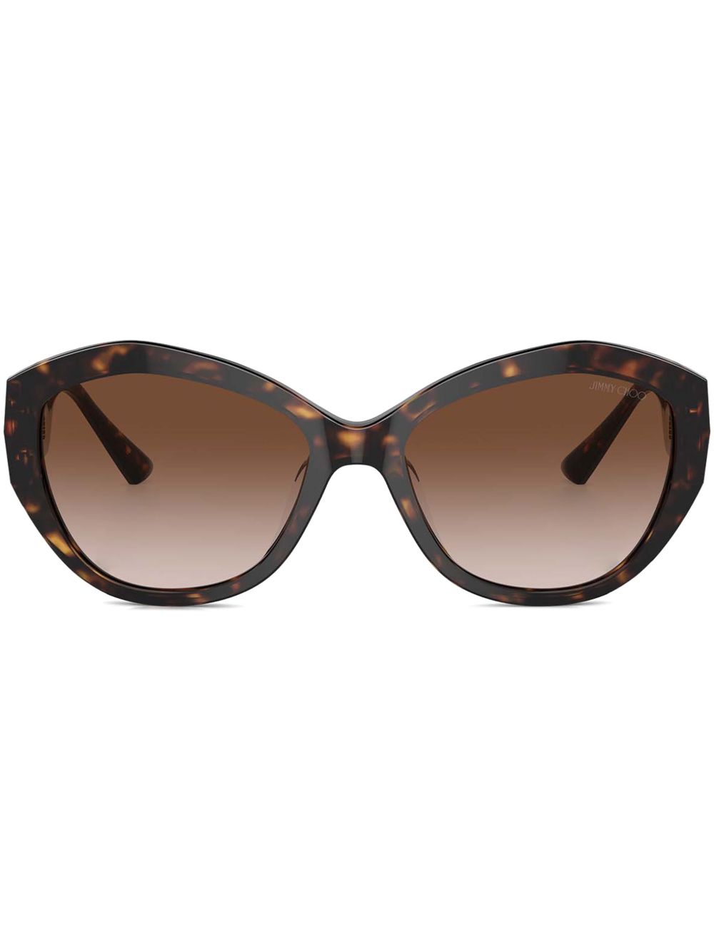 Jimmy Choo Eyewear Anahi 太阳眼镜 - 褐色
