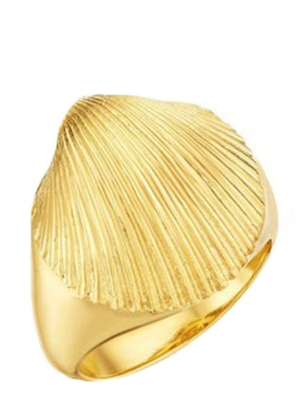 Cadar 18K黄金 Shell 图章戒指 - 金色