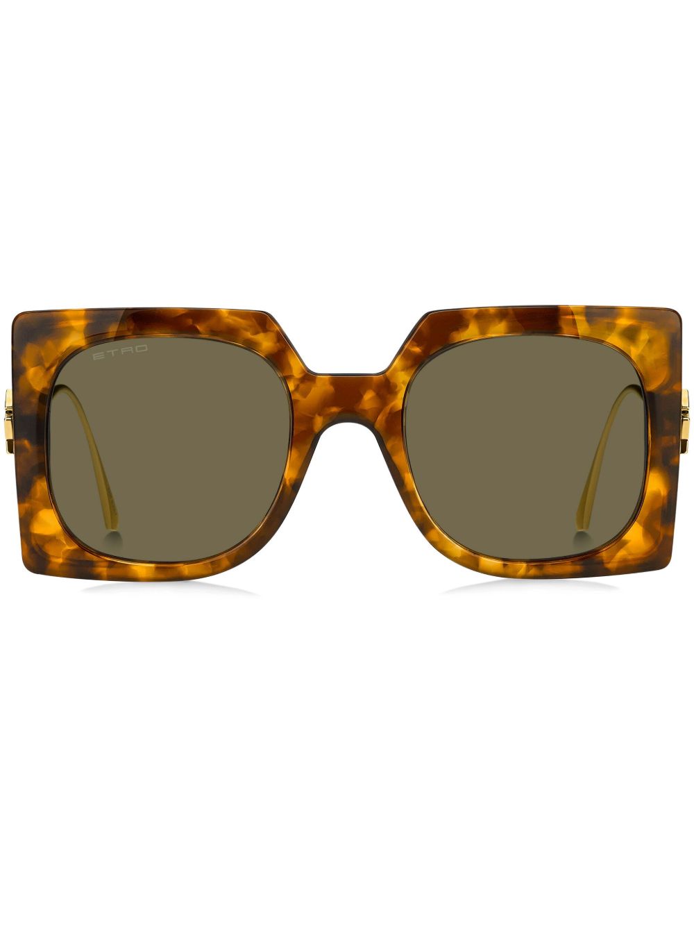 ETRO Bold Pegaso 方框太阳眼镜 - 褐色