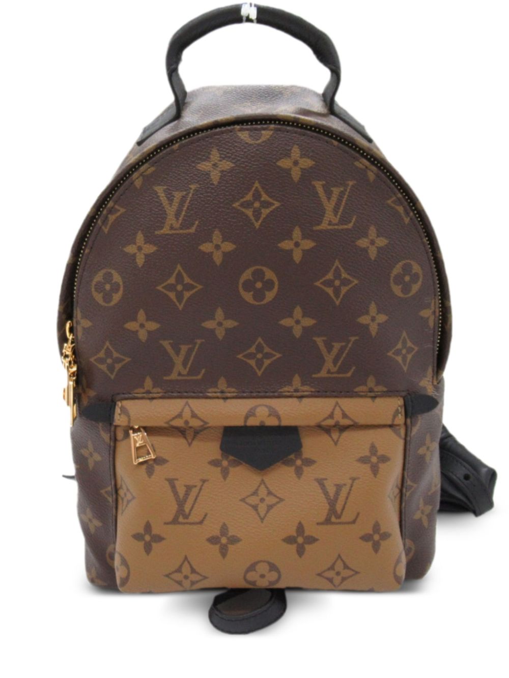 Louis Vuitton Pre-Owned Palm Springs 双肩包（2021年典藏款） - 褐色