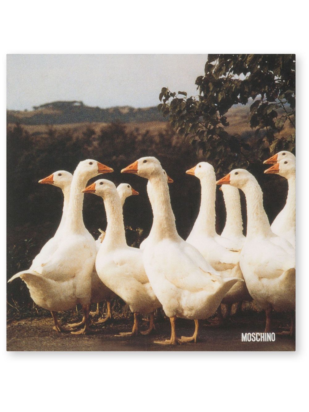 Moschino duck-print scarf - 中性色