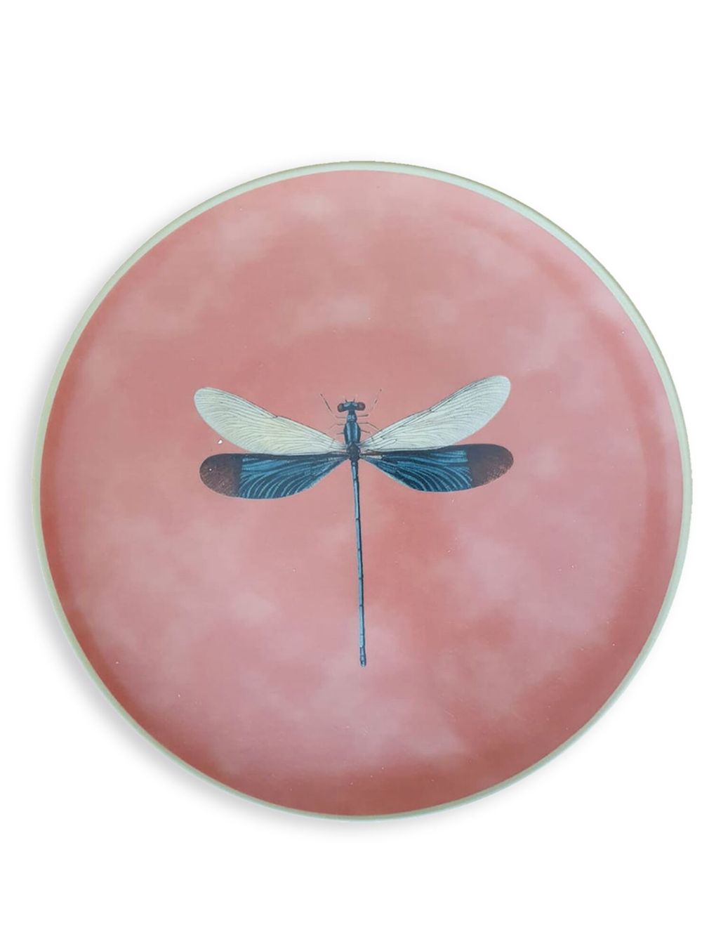 Les-Ottomans Insetti Collection 手绘餐盘 - 彩色
