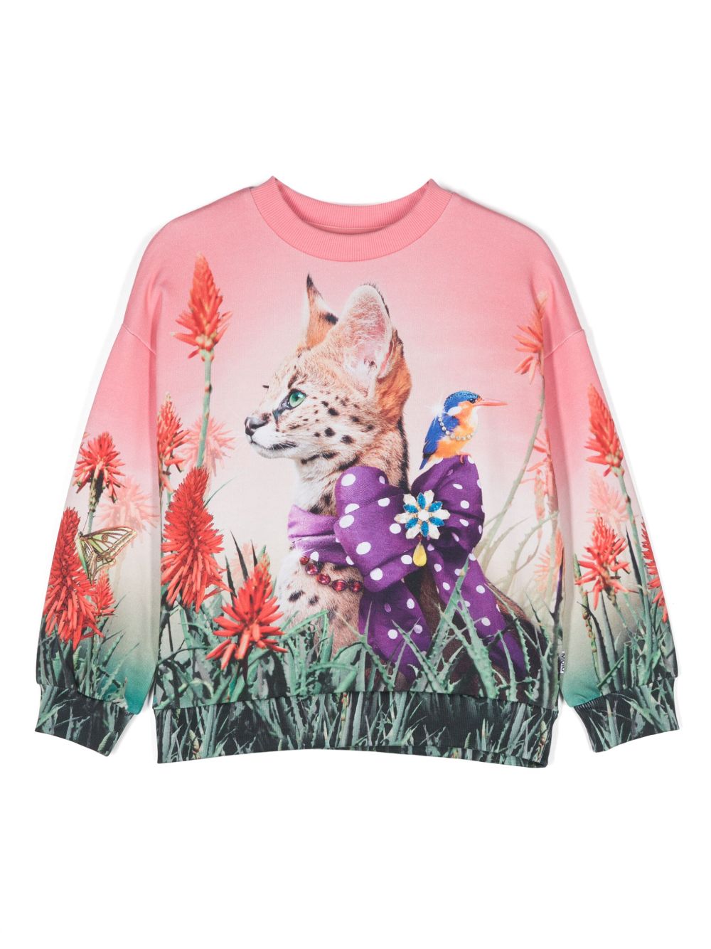 Molo Maxi Fancy Cat 卫衣 - 粉色