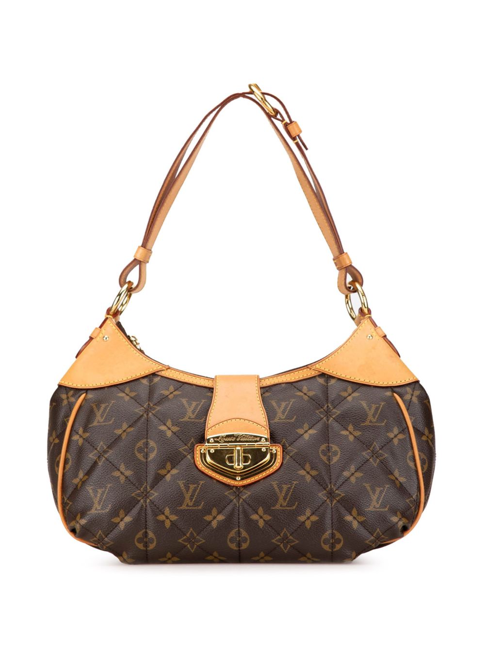 Louis Vuitton Pre-Owned Monogram Etoile City PM 单肩包（2009年典藏款） - 褐色