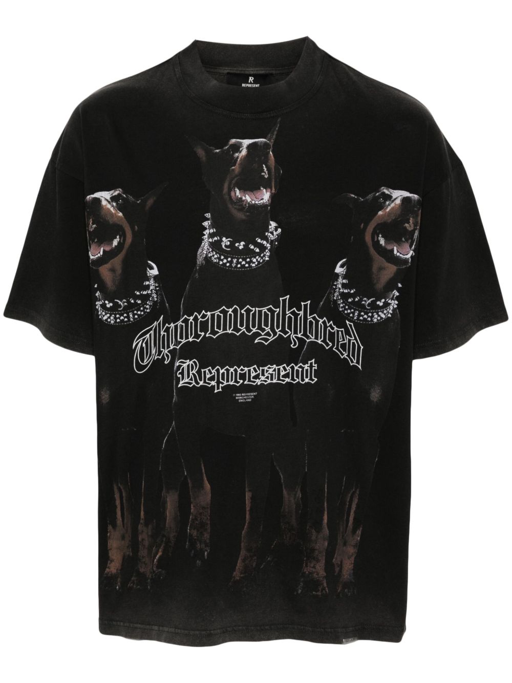 Represent Thoroughbred T恤 - 黑色