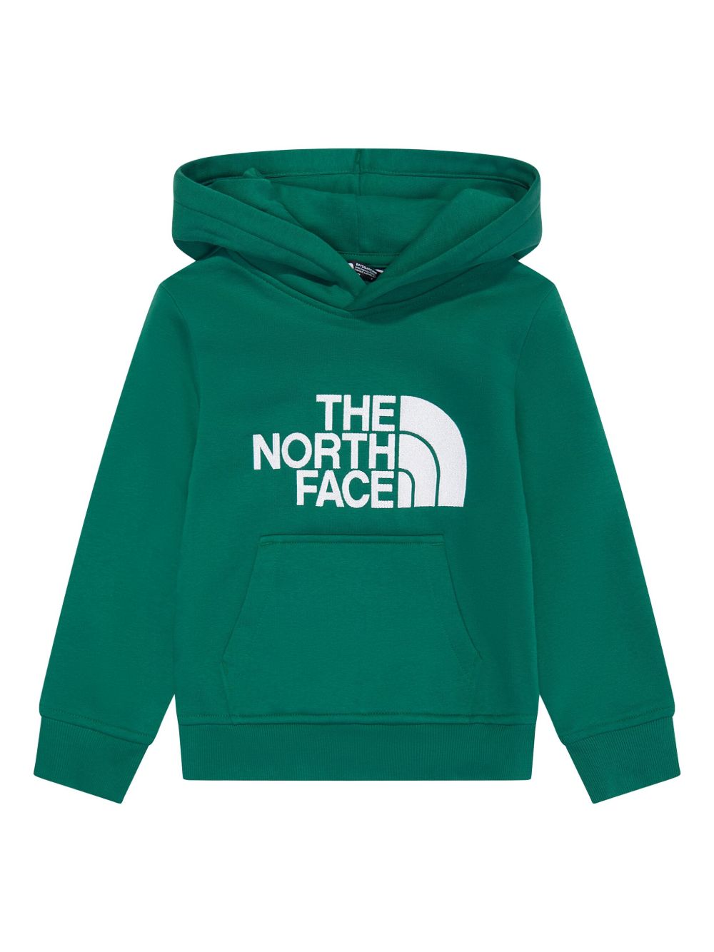 The North Face Kids logo印花连帽衫 - 绿色