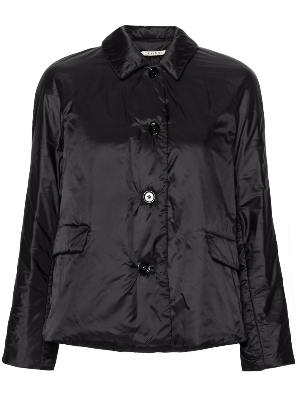 Max Mara Greens 填充夹克 - 黑色