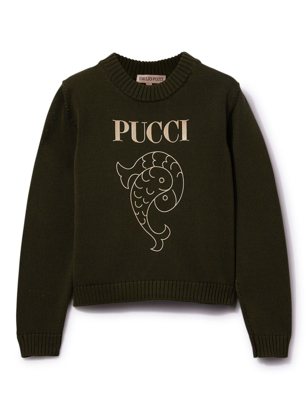 PUCCI Junior Pesci 印花毛衣 - 绿色