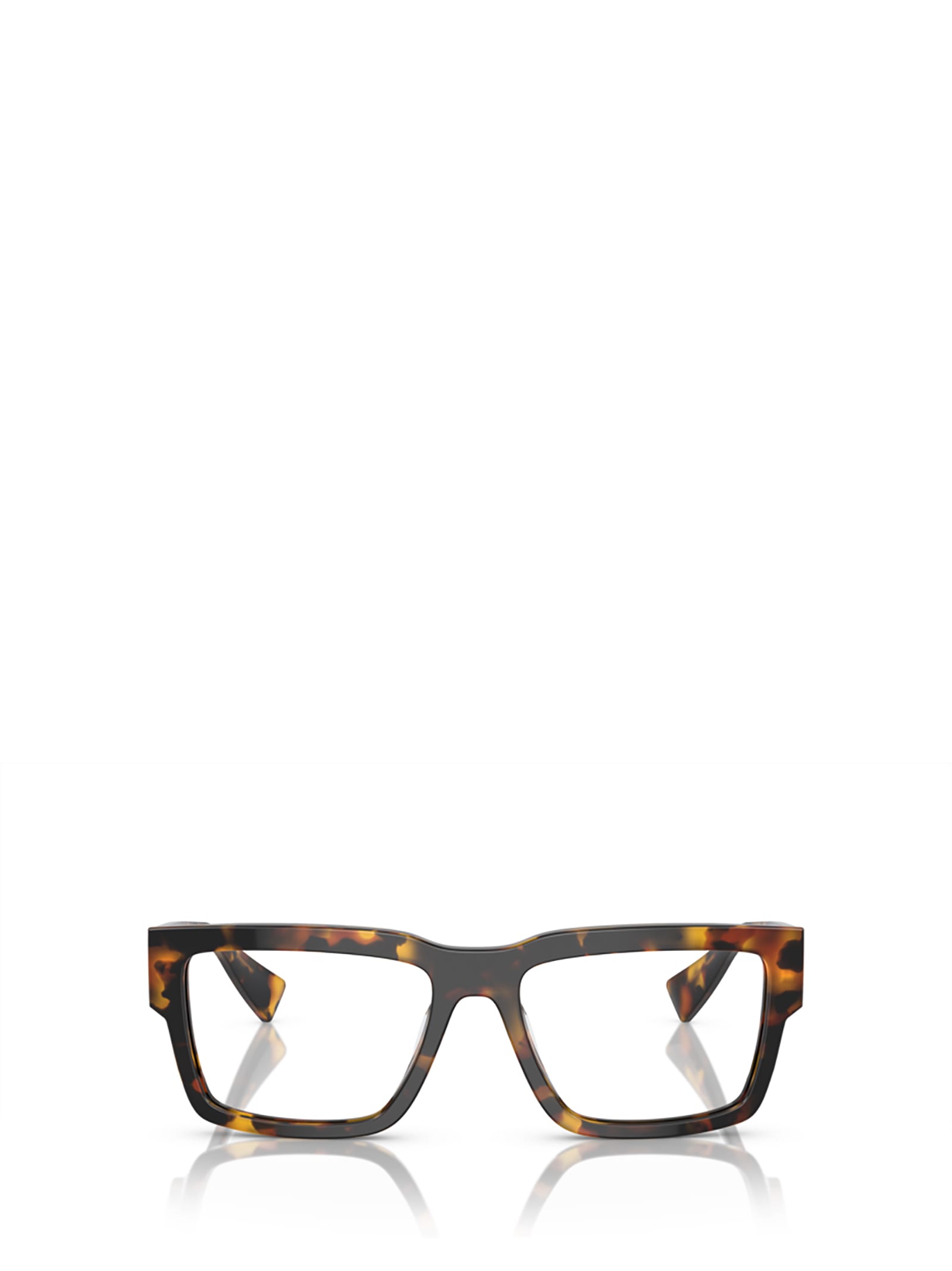 Miu Miu Mu 02xv Honey Tortoise Glasses