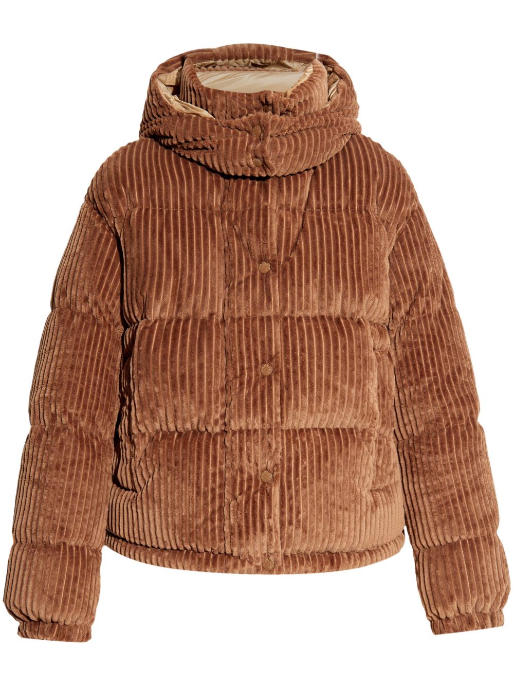 Moncler Daos 夹克 - 褐色