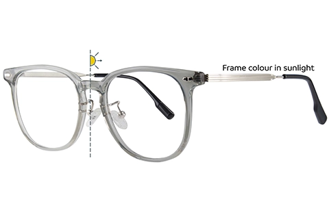 SunSwitch Arlo Transparent Grey
