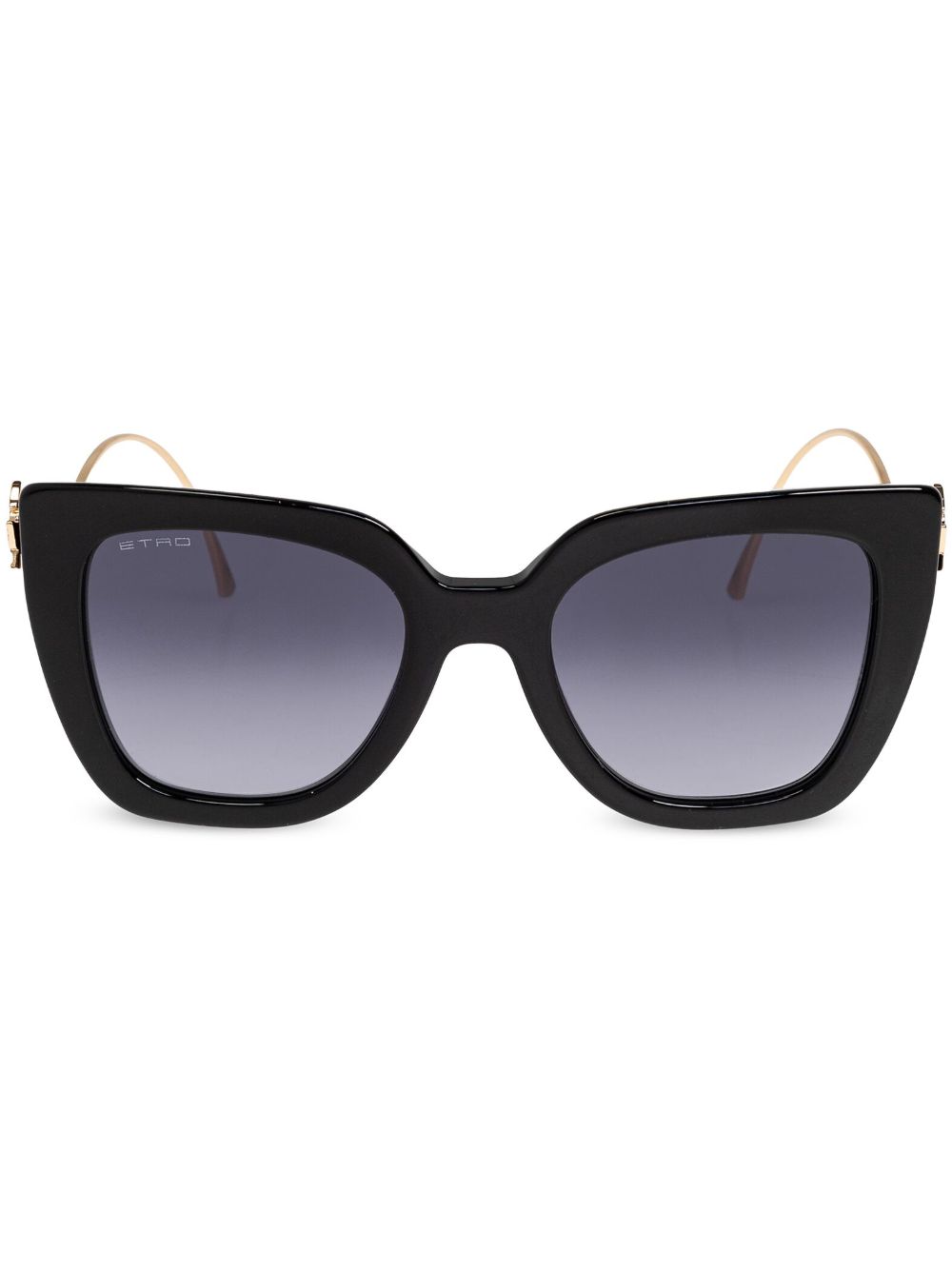 ETRO Pegaso 雕刻太阳眼镜 - 黑色