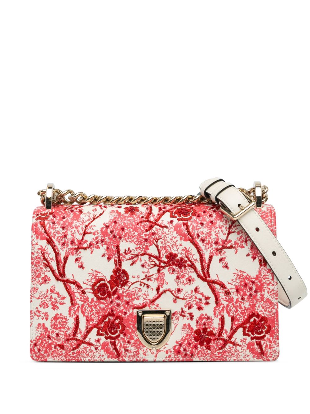 Christian Dior Pre-Owned Floral Toile de Jouy Diorama Flap 小牛皮刺绣中号斜挎包（2018年典藏款） - 红色