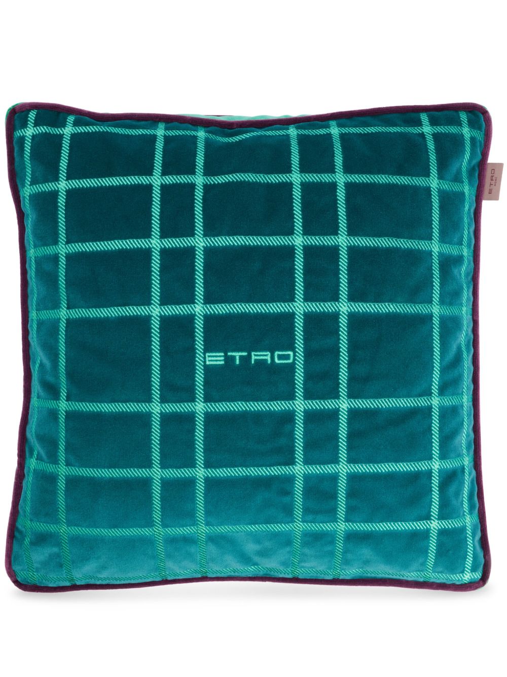ETRO HOME logo毛绒效果抱枕 - 绿色