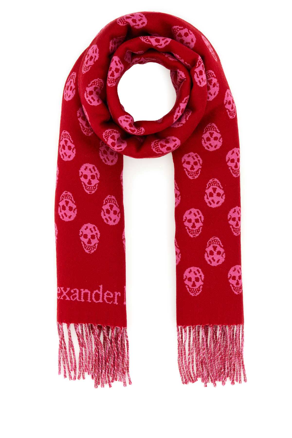 Alexander McQueen Embroidered Wool Reversible Scarf