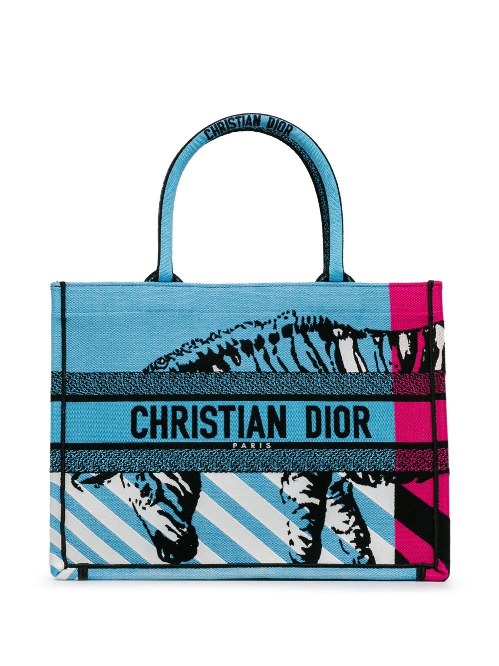 Christian Dior Pre-Owned Medium D-Jungle Pop Book 手提包（2022年典藏款） - 蓝色