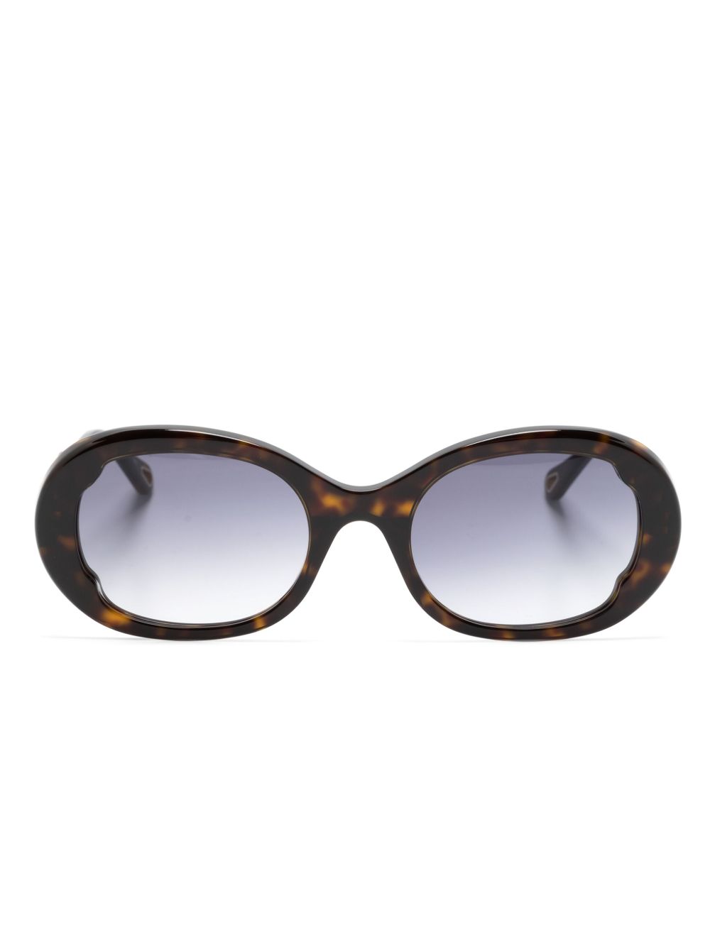 Chloé Eyewear Havana 椭圆框太阳眼镜 - 褐色