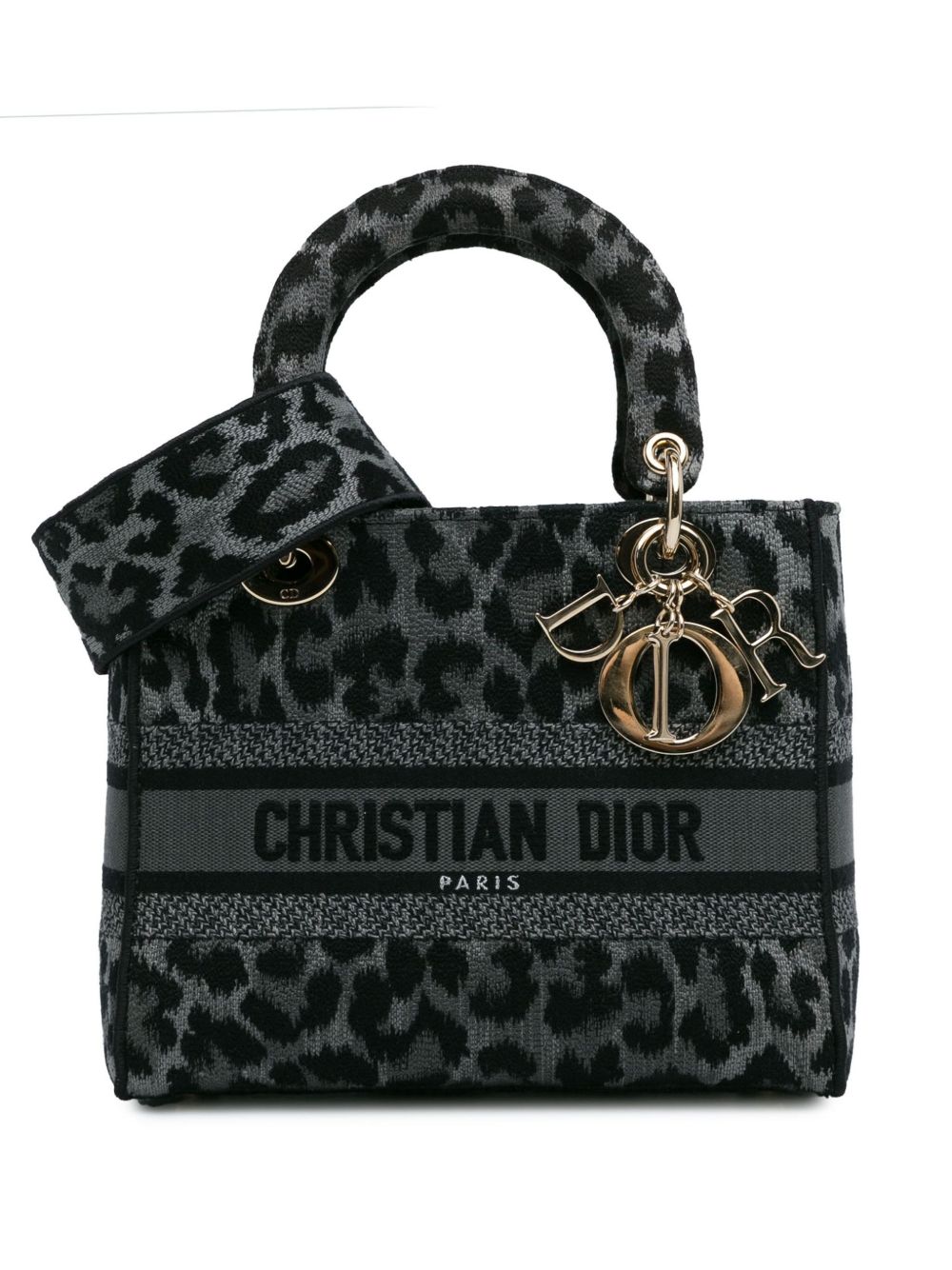 Christian Dior Pre-Owned Medium Mizza Lady D-Lite 斜挎包（2021年典藏款） - 灰色