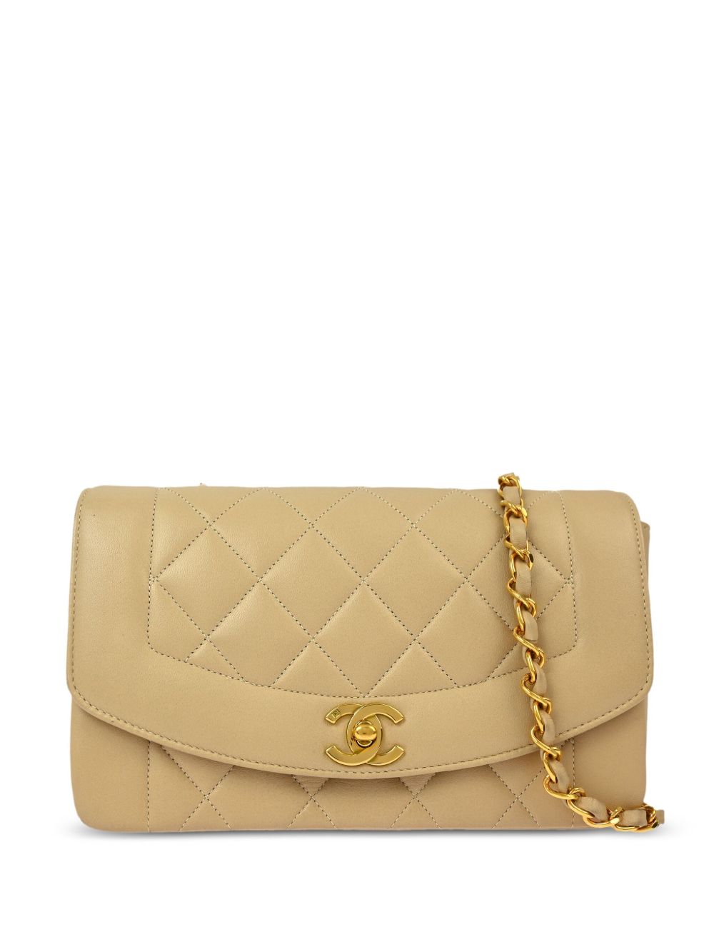 CHANEL Pre-Owned Diana 小号单肩包（1995年典藏款） - 中性色