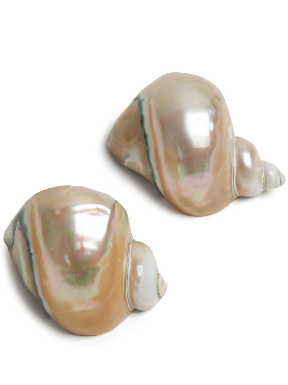 Gohar World Shell 餐巾环（两件装） - 白色