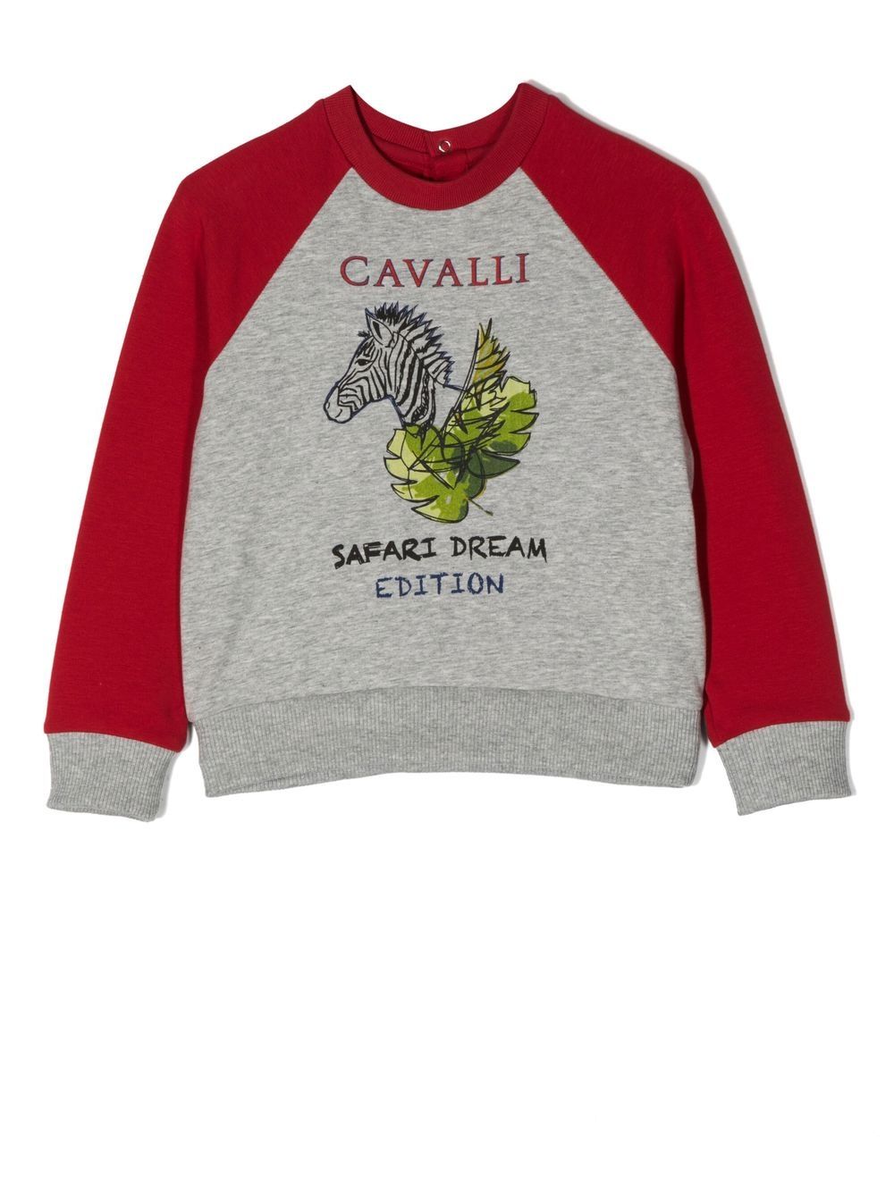 Roberto Cavalli Junior 图案印花卫衣 - 红色