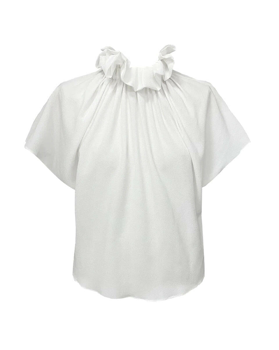 Ruff Blouse