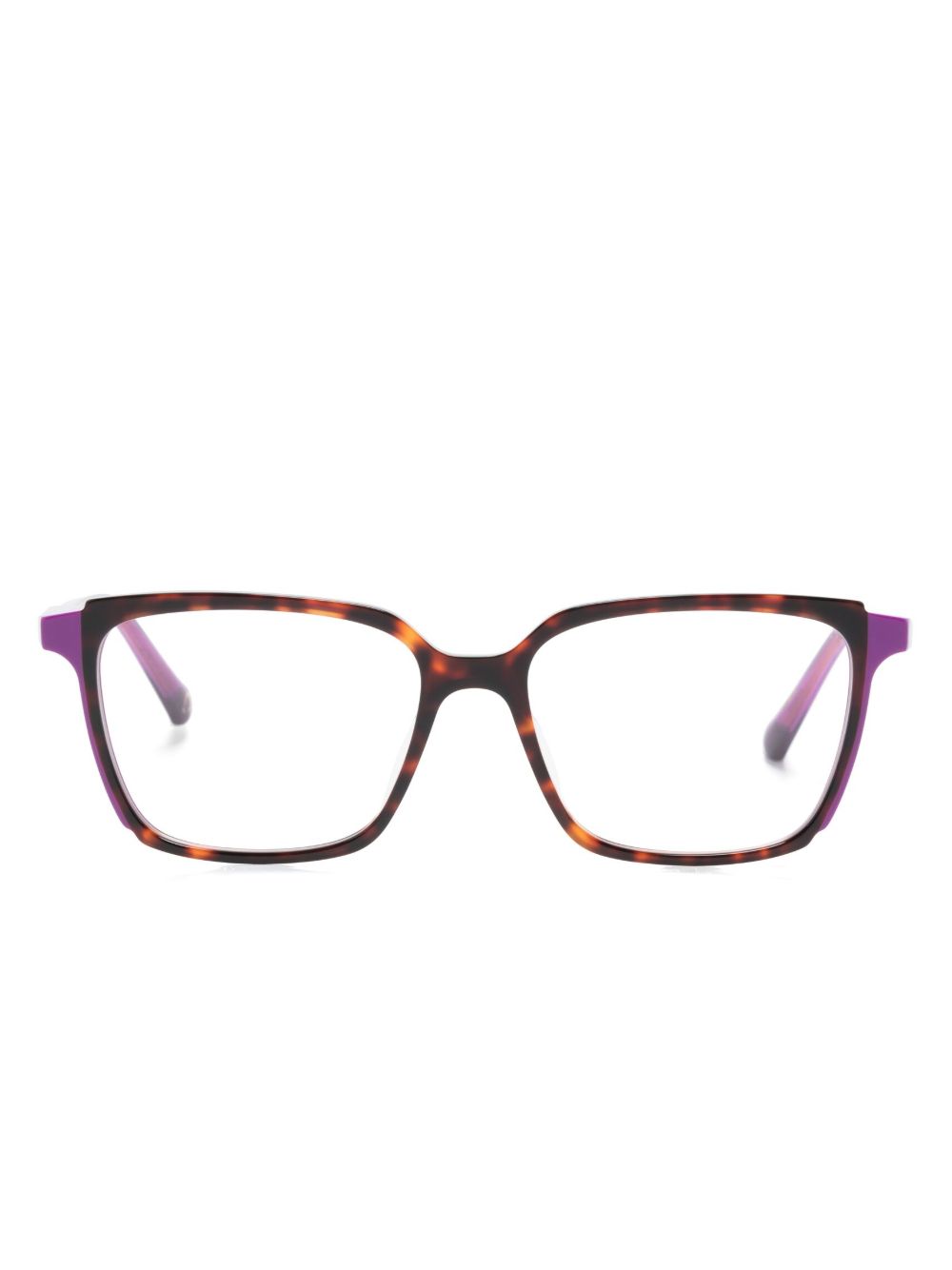 Etnia Barcelona Sussex 方框眼镜 - 褐色