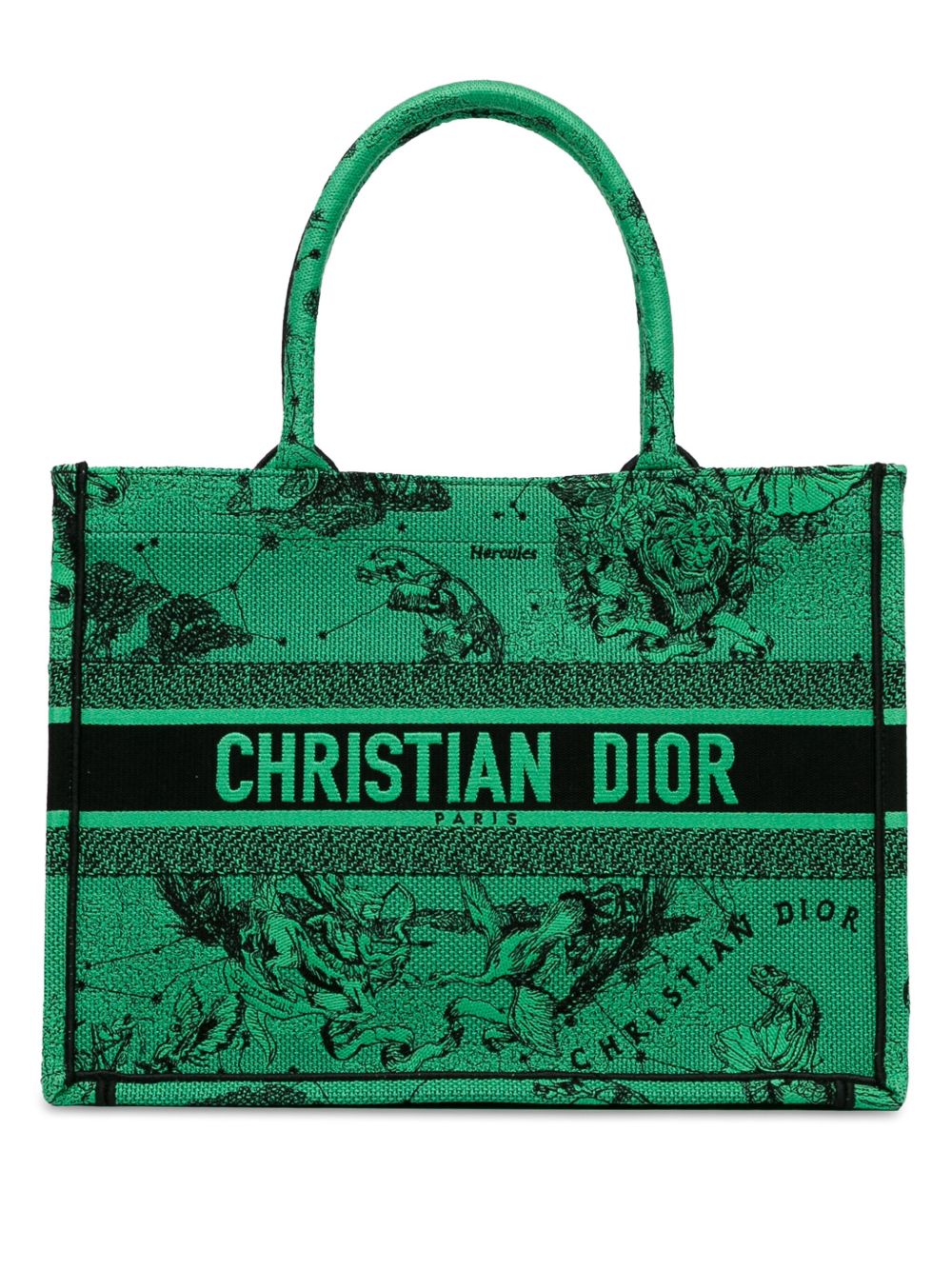 Christian Dior Pre-Owned Medium Embroidered Canvas Book 手提包（2021年典藏款） - 绿色