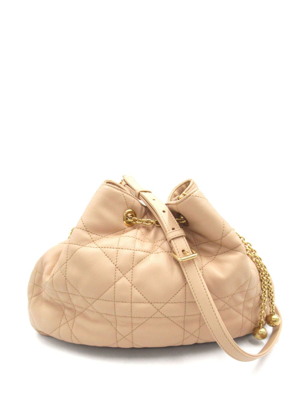 Christian Dior Pre-Owned Ammi 单肩包（2010年代典藏款） - 中性色