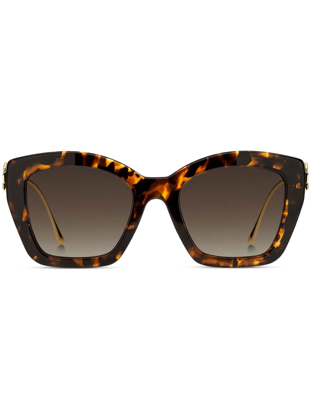 ETRO Bold Pegaso 太阳眼镜 - 褐色